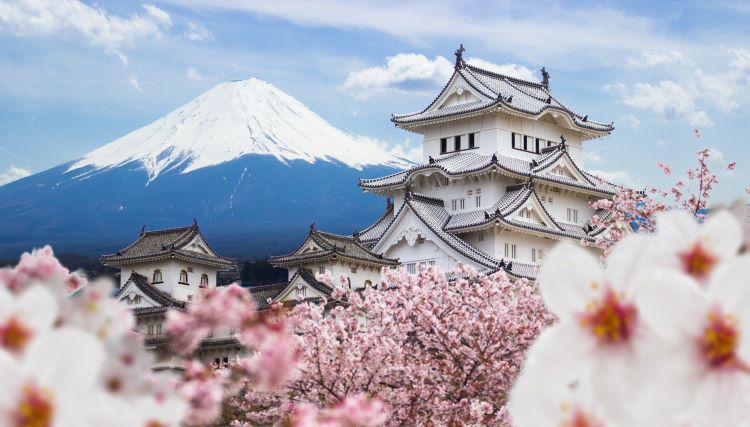 Cherry Blossom Bliss: Budget-Friendly Japan Tour!