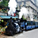 Darjeeling- Royale Group