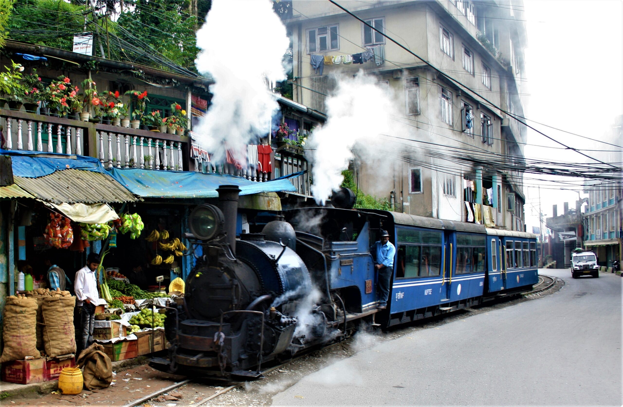 Darjeeling- Royale Group